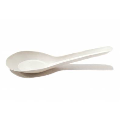 Big Chinese Spoon (100pcs)